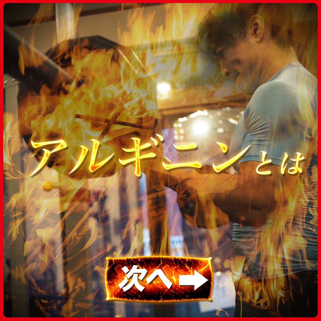 アルギニンについて パーソナルトレーニング・ダイエットジム BURN OUT GYM（バーンアウトジム）