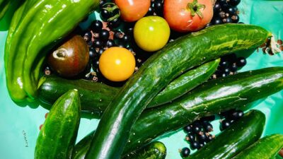 先日採れた野菜です